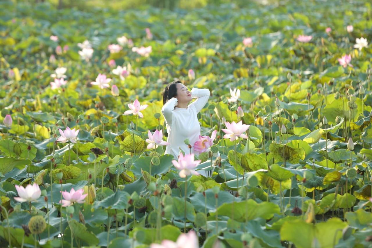 Lotus Hotel Ninh Binh Bagian luar foto