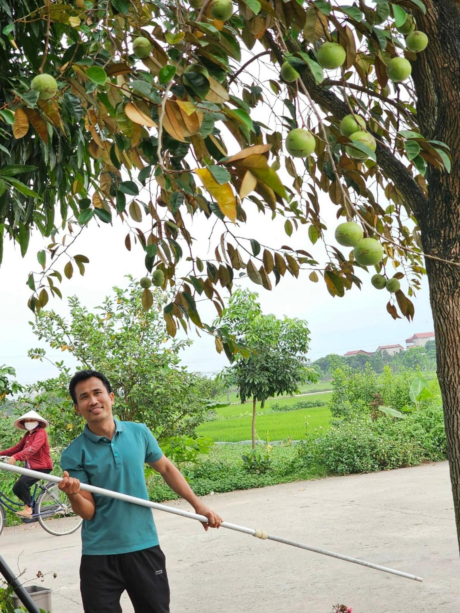 Lotus Hotel Ninh Binh Bagian luar foto