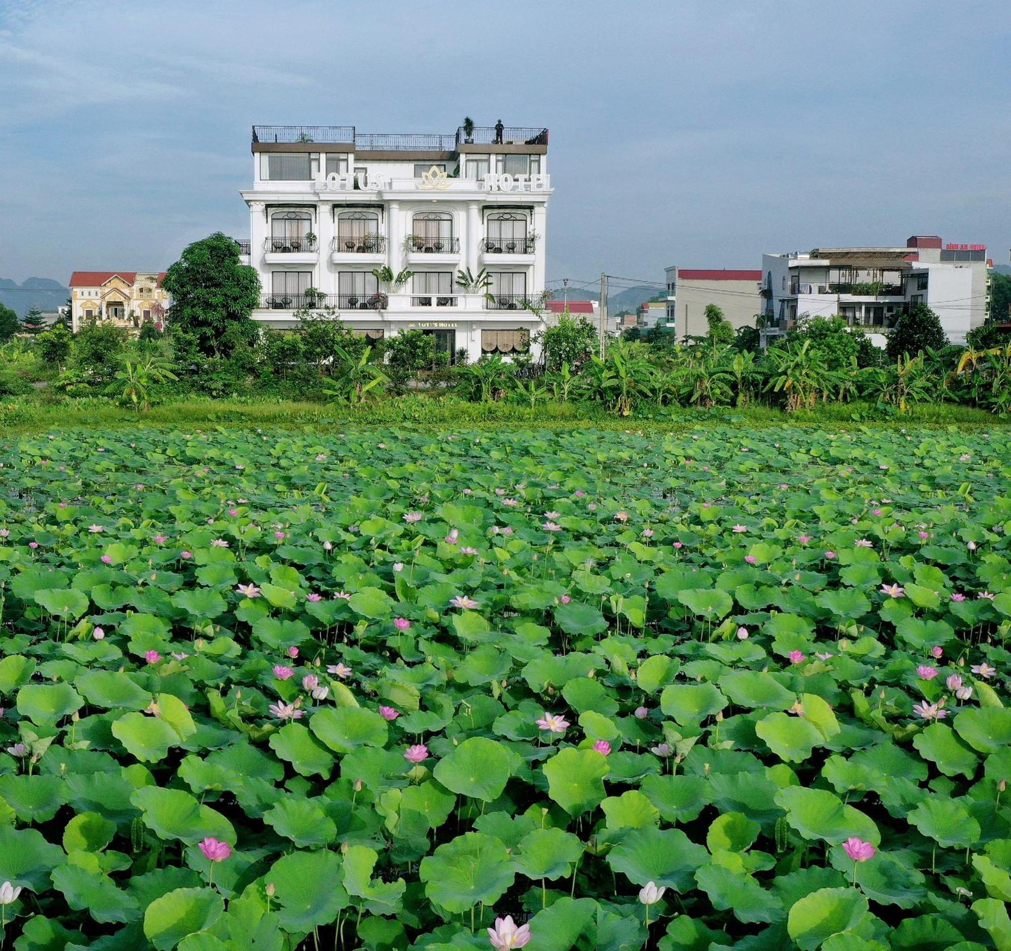 Lotus Hotel Ninh Binh Bagian luar foto
